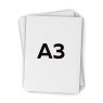 A3