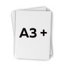 A3+